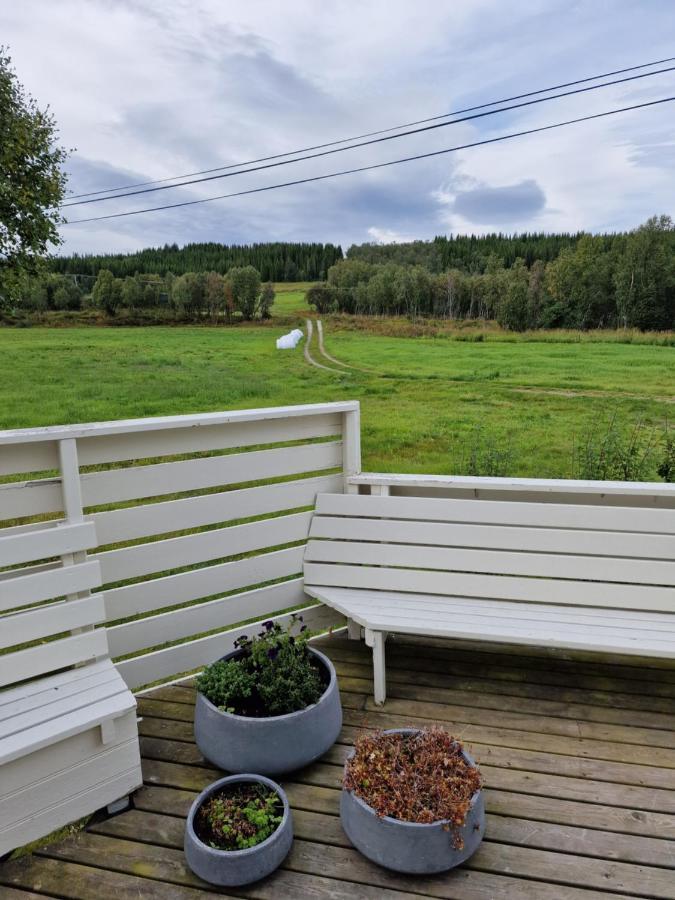 Warm And Cozy Cottage, Great Location