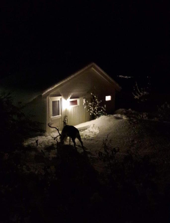 Warm And Cozy Cottage, Great Location *